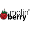 Molin Berry